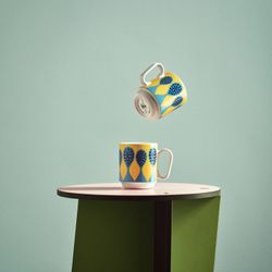 Birds 1967 Mugg No5