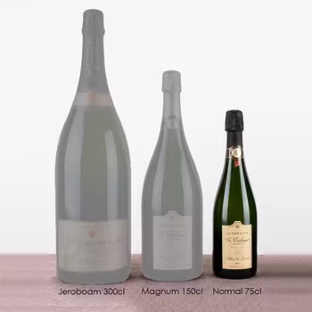 Hållbart Skalskydd för 75cl Vinflaskor
