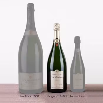 Hållbart Skalskydd för 150cl Vinflaskor