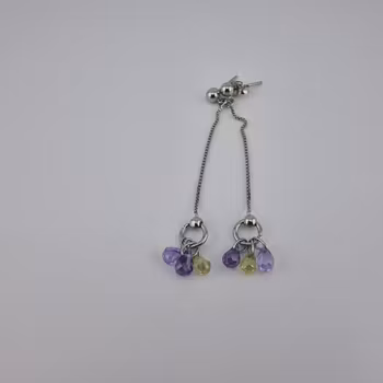 Långa örhänge med stenar Silver Smycken 6.0 cm