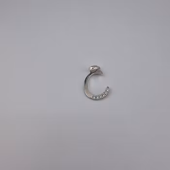 Bokstav hänge C med zirgon Berlock Silver Smycken