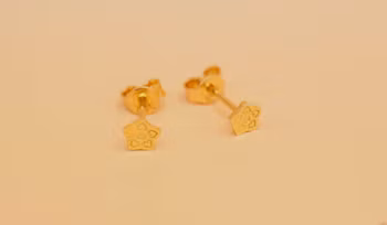 Örhängen Guld