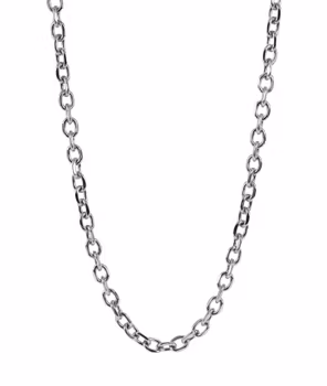 CHARLIE Chain Arock Varumärke
• Längd: 52 cm
• Bredd: 7 mm
• Förlängningskedja på 6 cm, vilket kan göra halsbandet upp till 58 cm långt