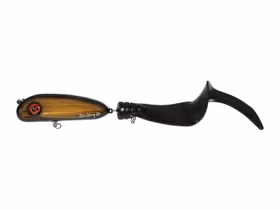 BB-Tail Large Shallow