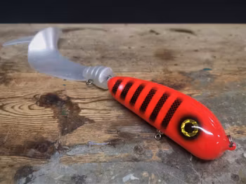 Hot Fluo Red Tiger