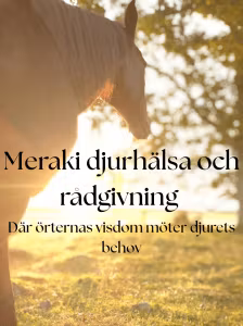 Meraki djurhälsa och rådgivning