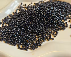 Seedbeads, svarta