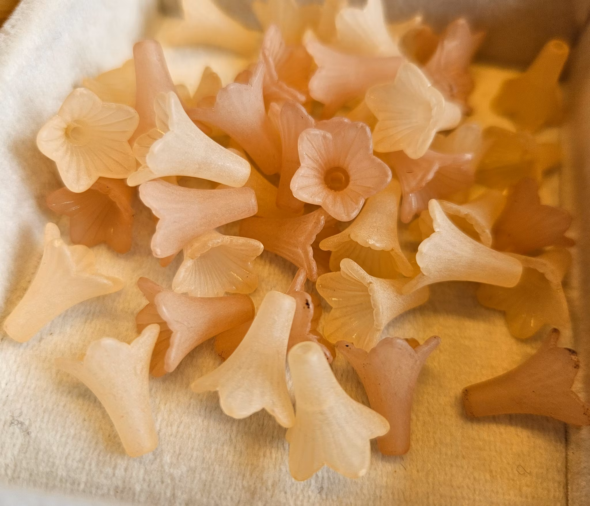 Frostade trumpetblommor beiga
