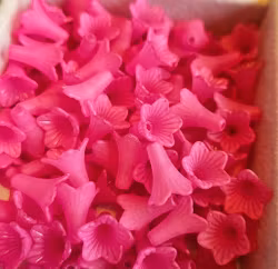 Frostade trumpetblommor i hot pink