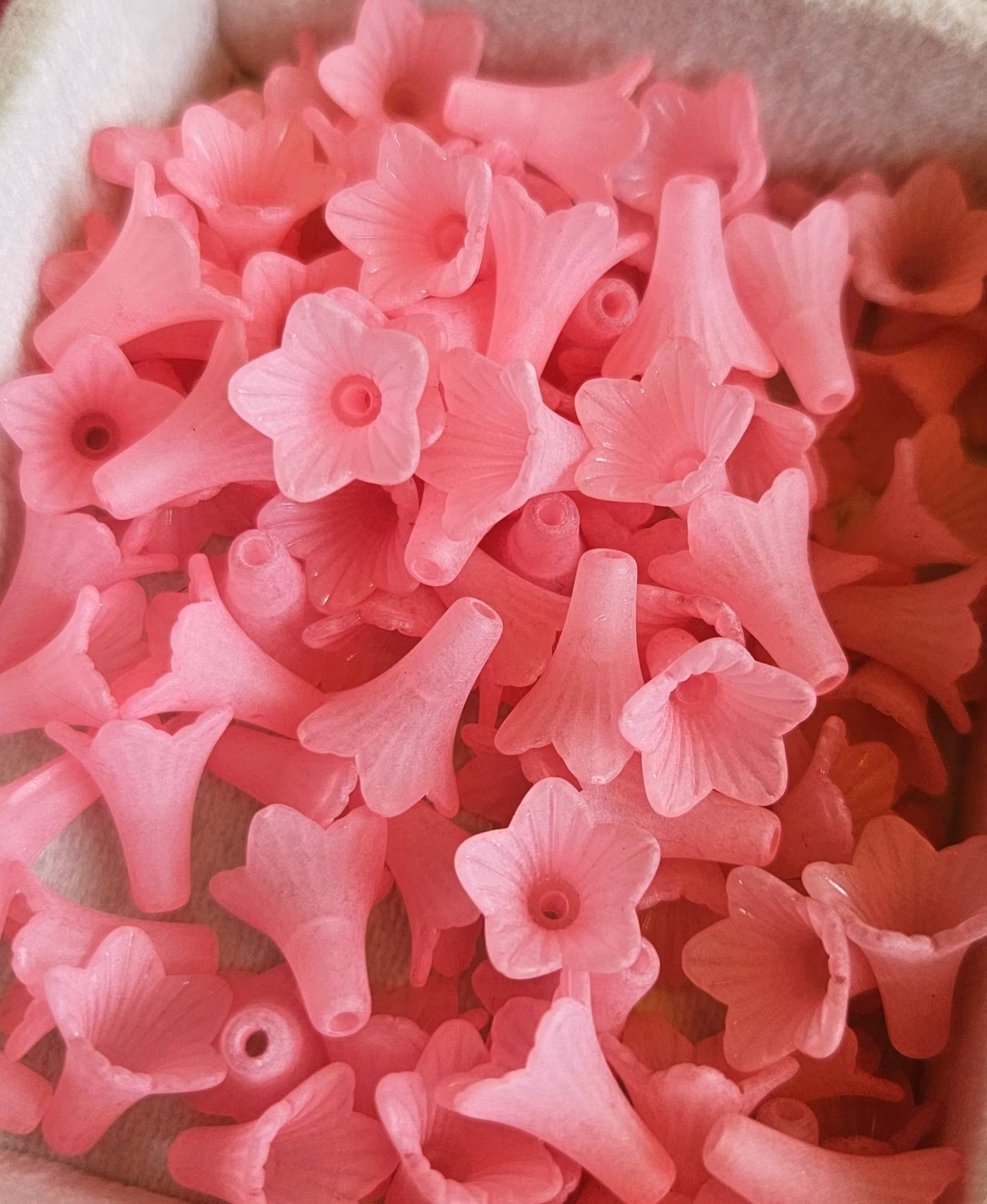 Frostade trumpetblommor rosa mix