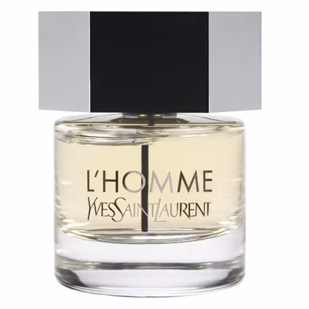 Yves Saint Laurent L'Homme Eau de Toilette 100 ml