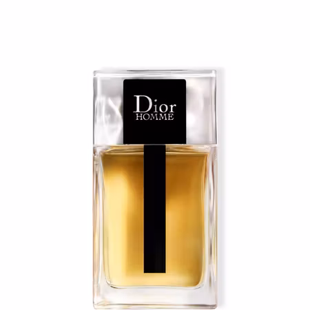 Dior Homme Eau de Toilette 100 ml
