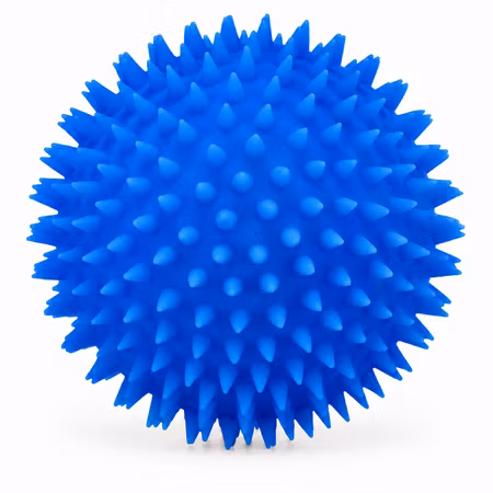 Igelkottsboll vinyl 10 cm – pipleksak för hund