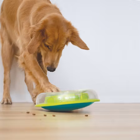 Aktiveringsleksak Wobble Bowl Grön – slow feeder för hund