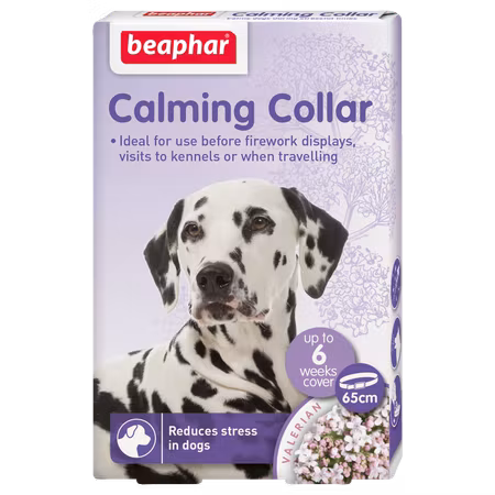 Calming halsband Hund