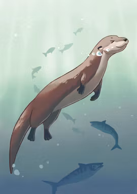 A refreshing swim