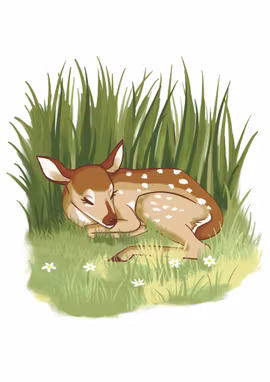 A peaceful nap