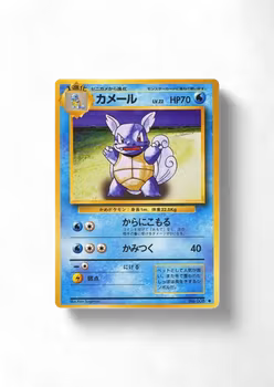 Wartortle #8