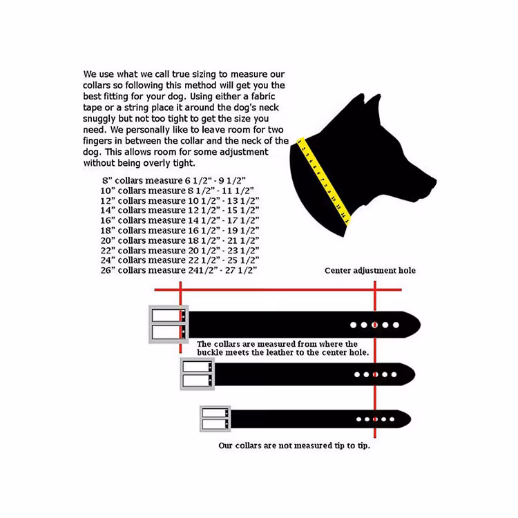 Hundhalsband Keltisk Design