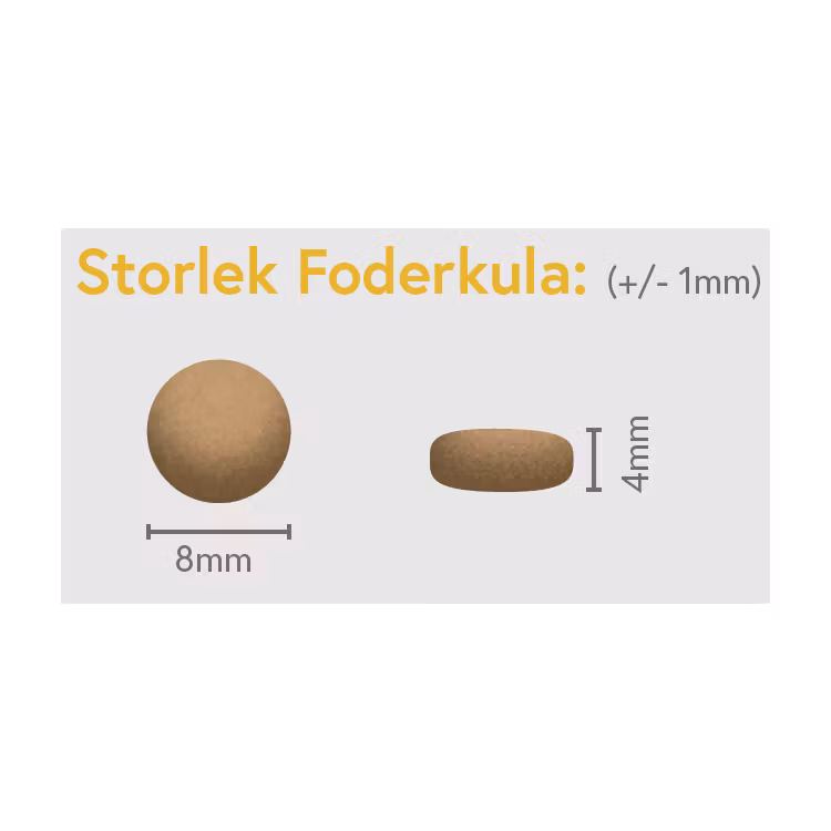 Kyckling med Ris - Vuxen - Liten Ras - 1,5kg
