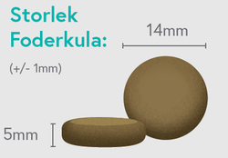 Häst med Sötpotatis och Granatäpple - Vuxen Hund - 1,5kg