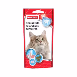 Dental Bits  35g