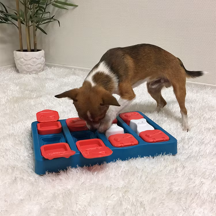 Dog Brick - Aktivitetsleksak - Nina Ottosson