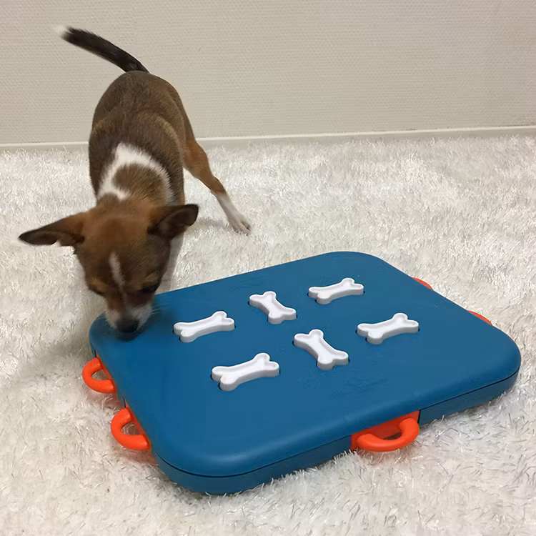 Dog Casino - Aktivitetsleksak - Nina Ottosson