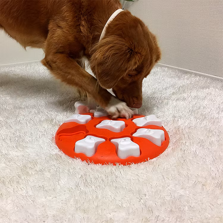 Dog Smart Aktivitetsleksak - Nina Ottosson
