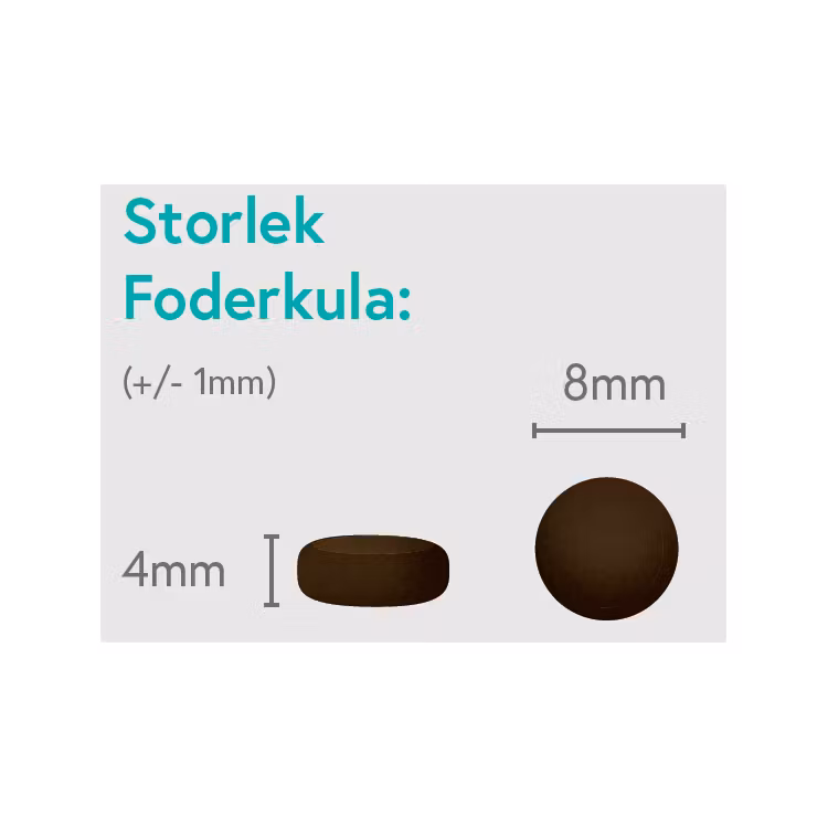 Anka med Sötpotatis och Apelsin - Vuxen Liten Ras - 1,5kg