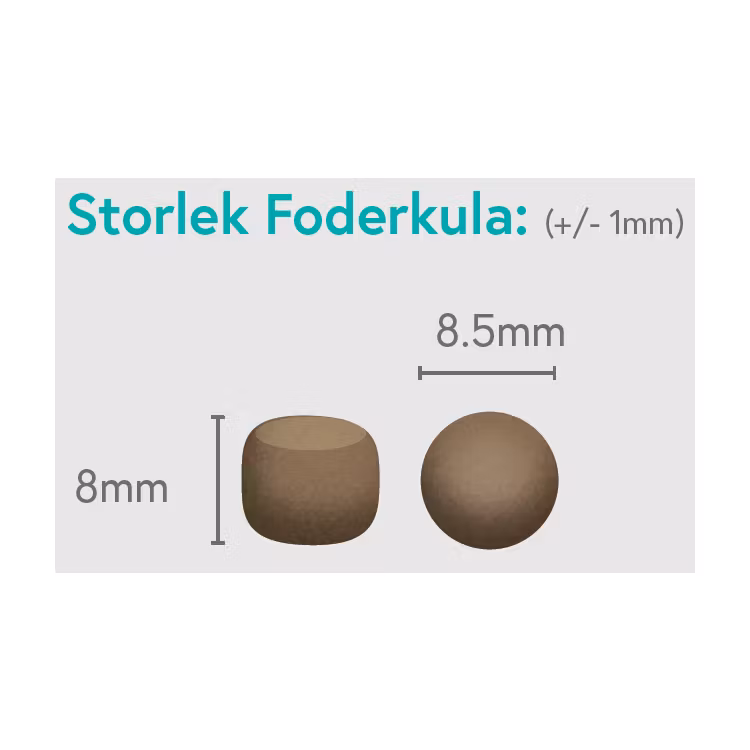 Kyckling med Kalkon, Lax, Sötpotatis och Morot - Valp - 1,5kg