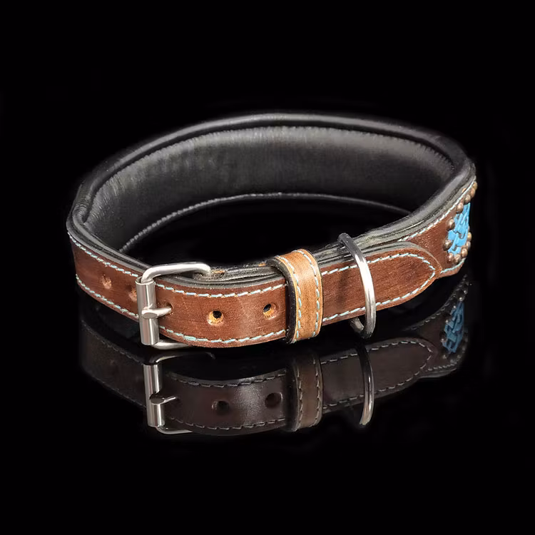 Hundhalsband Keltisk Design
