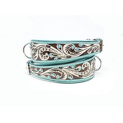 Lyxigt Hundhalsband Turkos