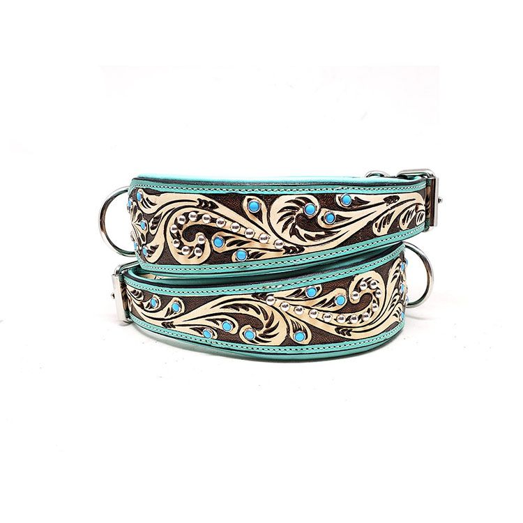 Lyxigt Hundhalsband Turkos