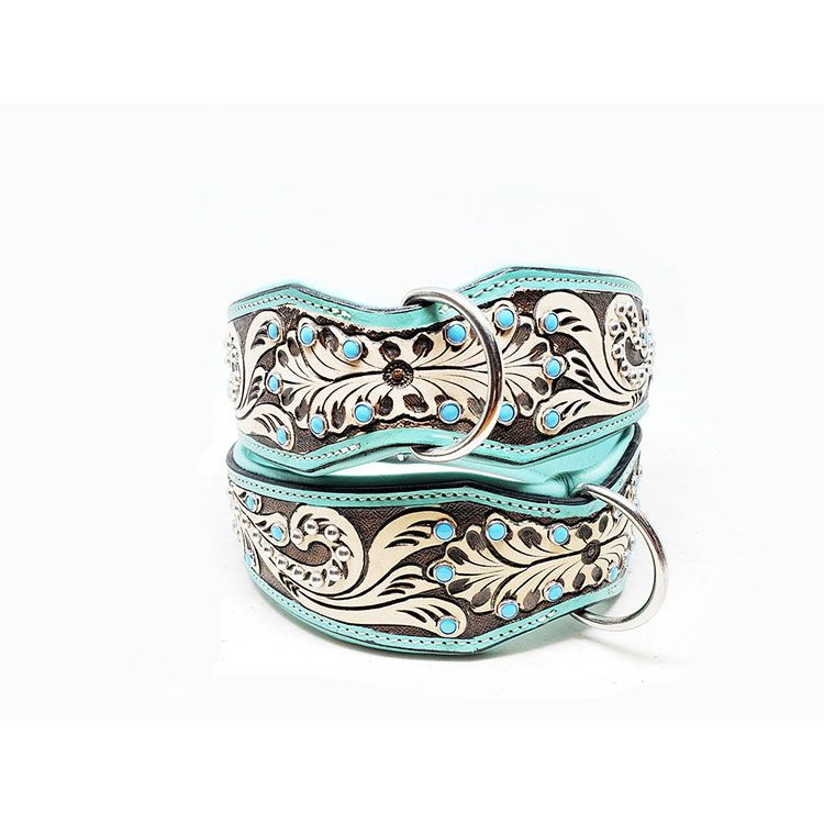 Lyxigt Hundhalsband Turkos