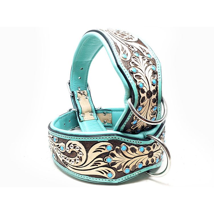 Lyxigt Hundhalsband Turkos