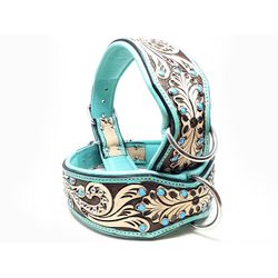 Lyxigt Hundhalsband Turkos