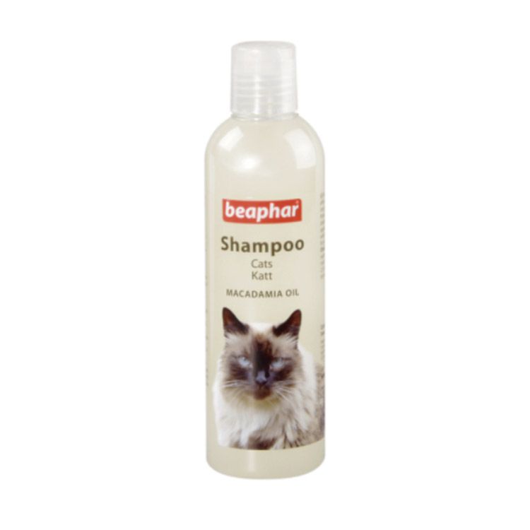 Katt Schampo Macadamiaolja