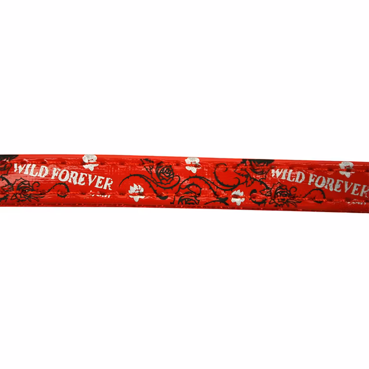 Koppel Envy "Wild Forever"