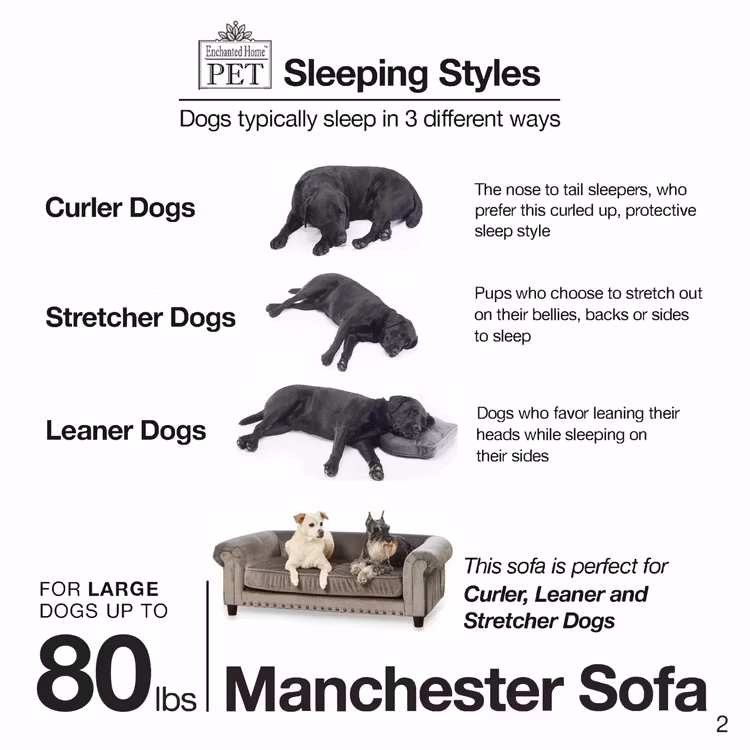 Lyxig hundsäng i sammet Manchester