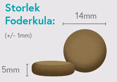 Angus Nötkött med Sötpotatis och Morot - Vuxen Hund