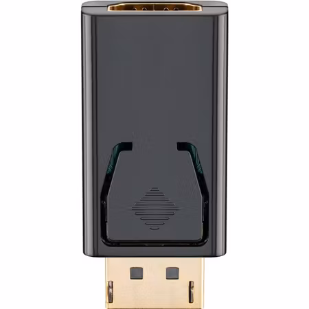 DisplayPort / HDMI-adapter 1.1, guldpläterad