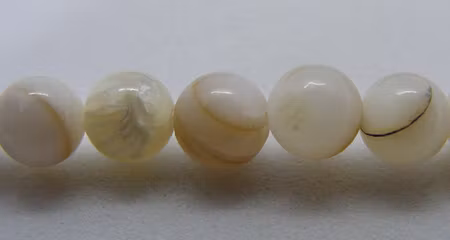 Snäckskalspärla, rund, natur, 5,5 mm