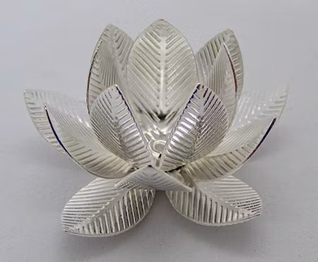 Stor pärlhatt, blomma, ljus silver