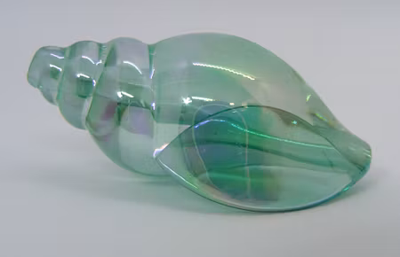 Snäcka av akryl, UV-pläterad och transparent sjögrön