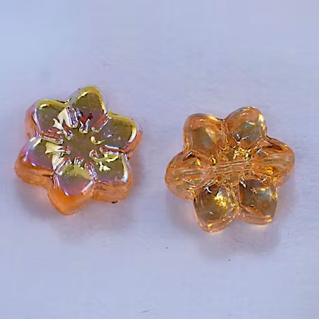 Glasblomma, orange