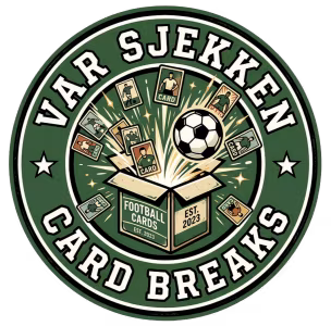 VAR-sjekken