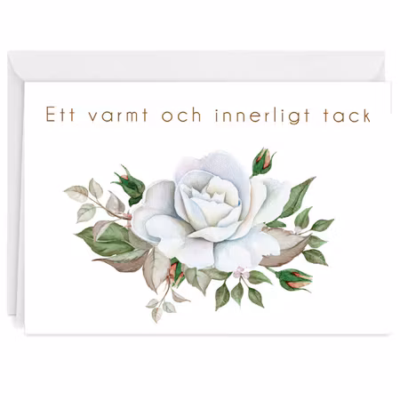 Färdigt tackkort till efter begravningen med motiv av vit ros i akvarell ofrankerat premium kuvert.