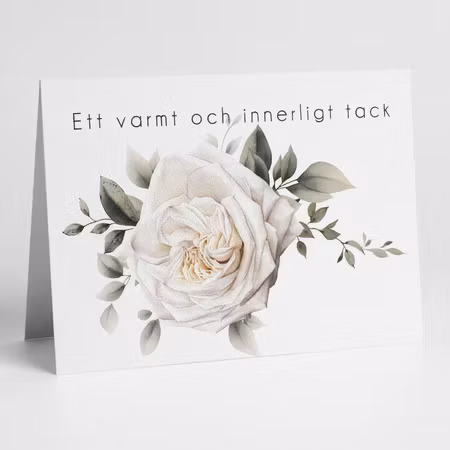 Färdigt tackkort till efter begravningen med motiv av vit ros i akvarell inklusive ofrankerat premium kuvert.