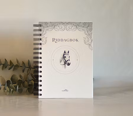Riddagbok